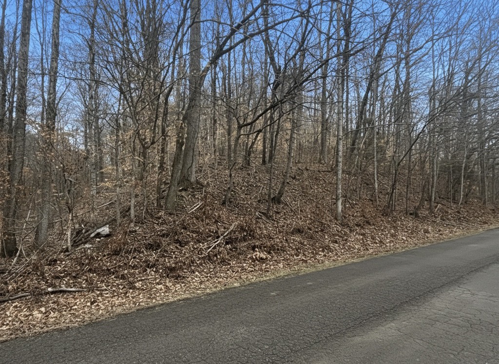 0 Brown Mill Road Mc Ewen TN 37101