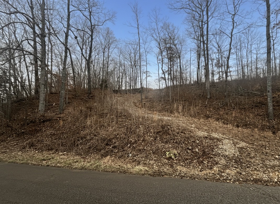0 Brown Mill Road Mc Ewen TN 37101