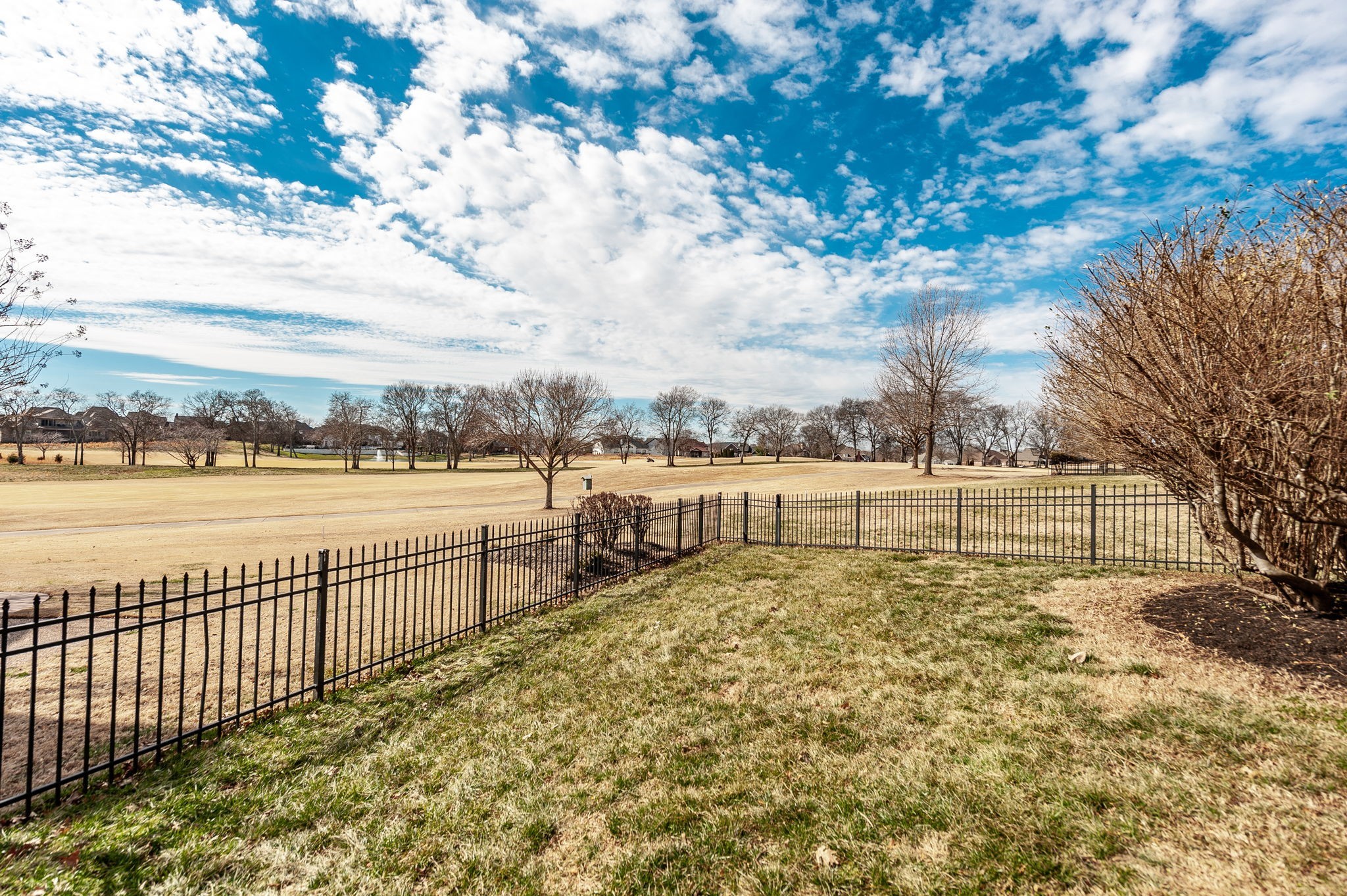 1108 Rossifer Court Gallatin TN 37066
