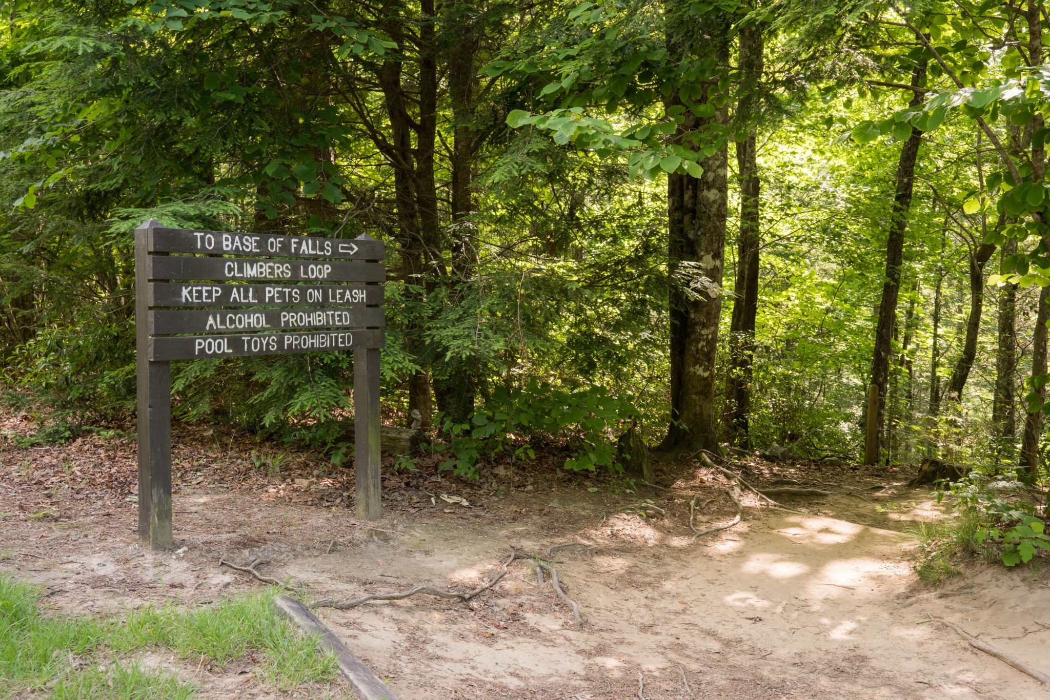 0 Highway 150 Sequatchie TN 37374