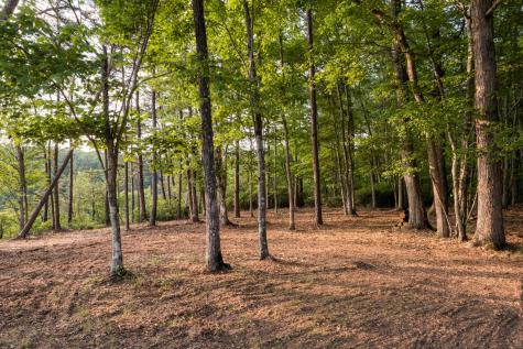 0 Highway 150 Sequatchie TN 37374