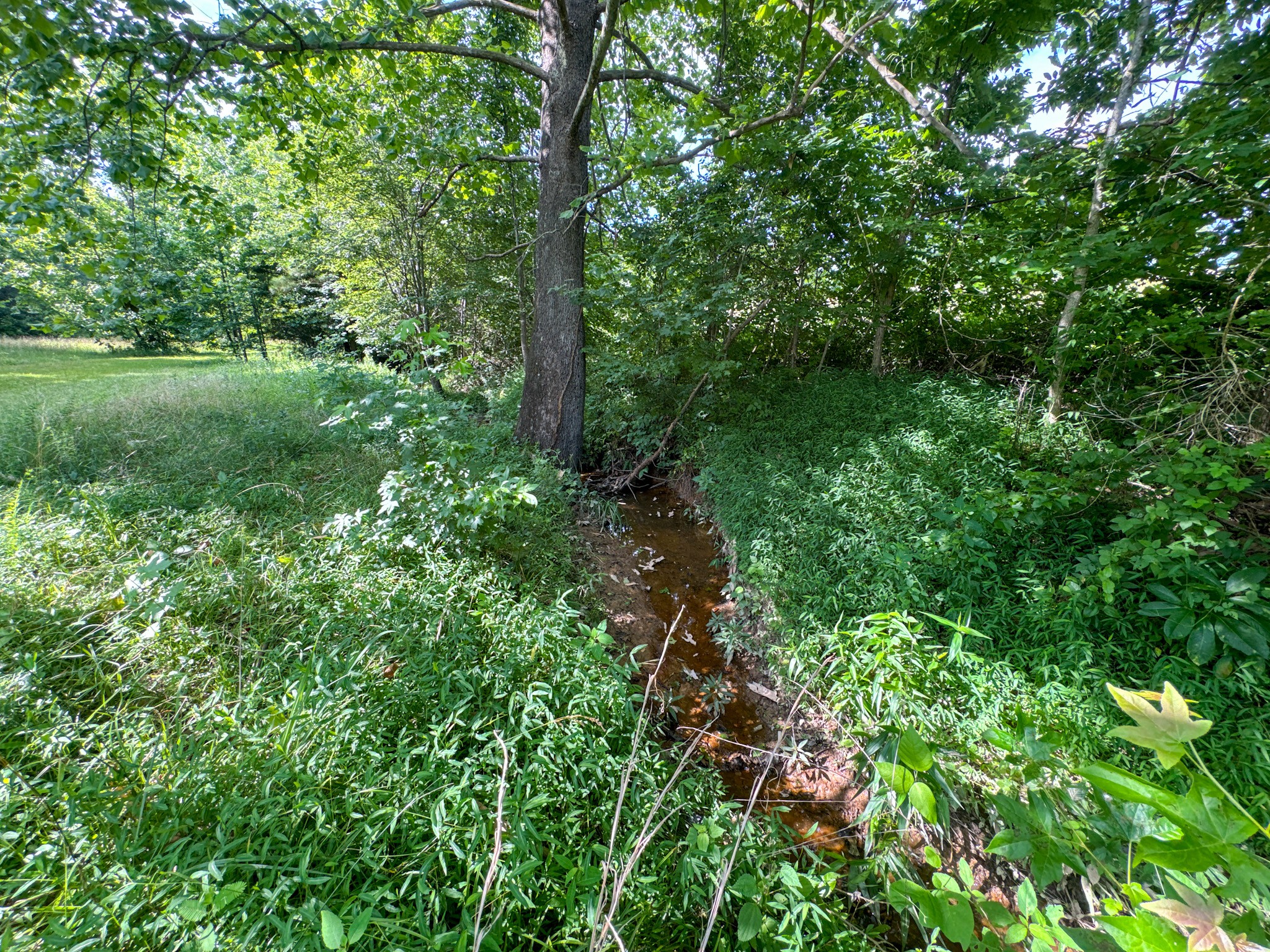 4791 Guys Chewalla Road Ramer TN 38367