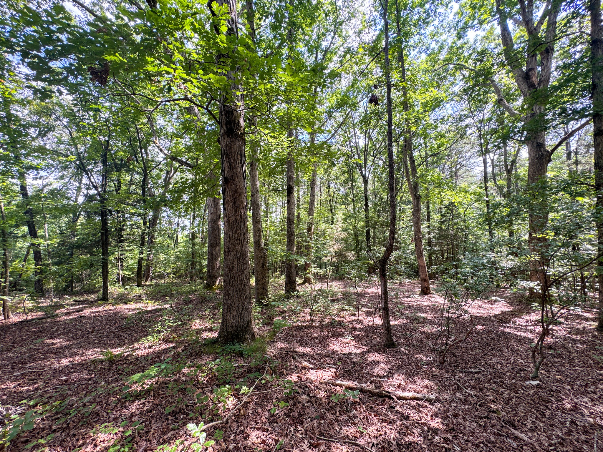 4791 Guys Chewalla Road Ramer TN 38367