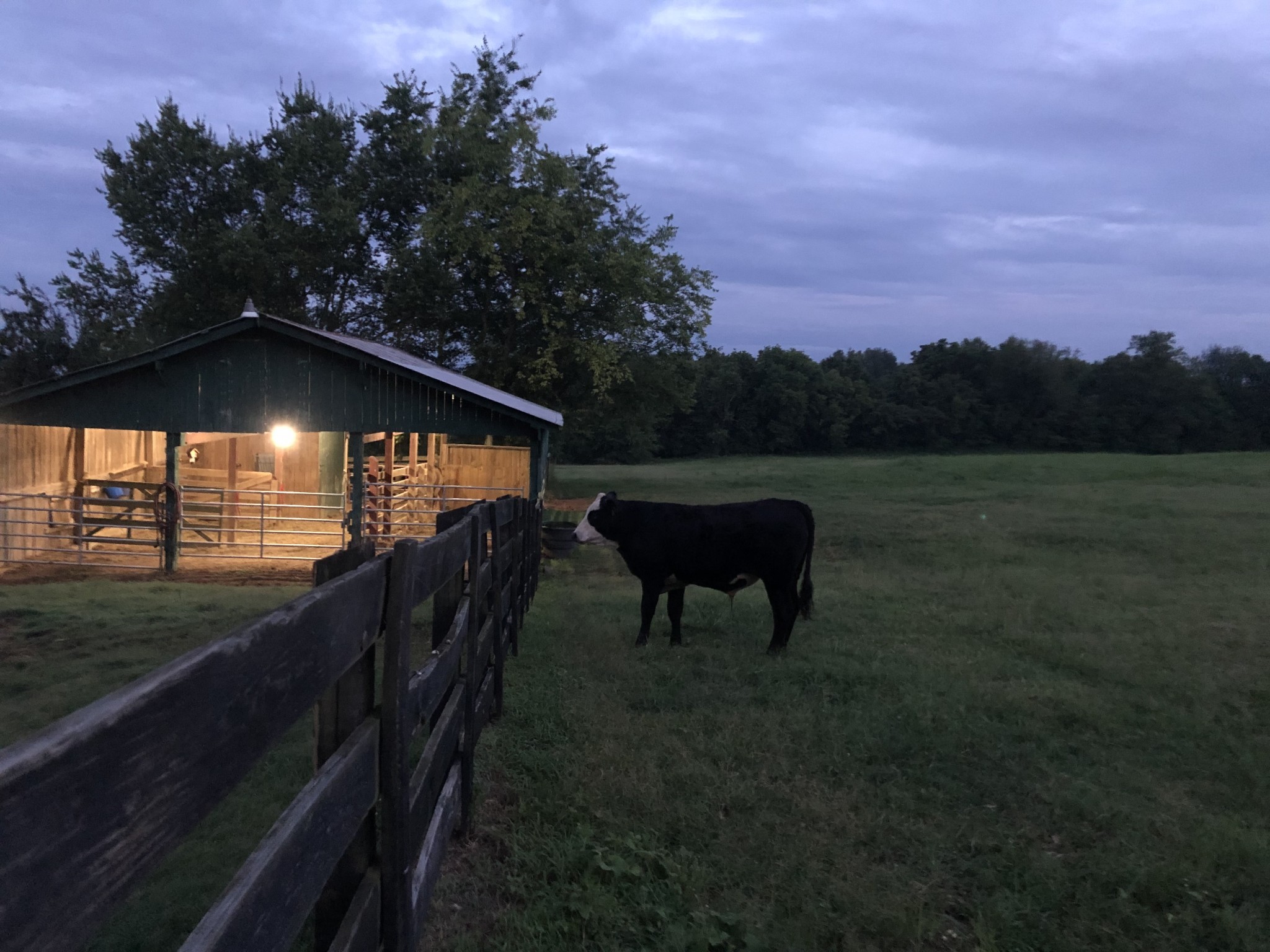 2202 Darks Mill Road Columbia TN 38401