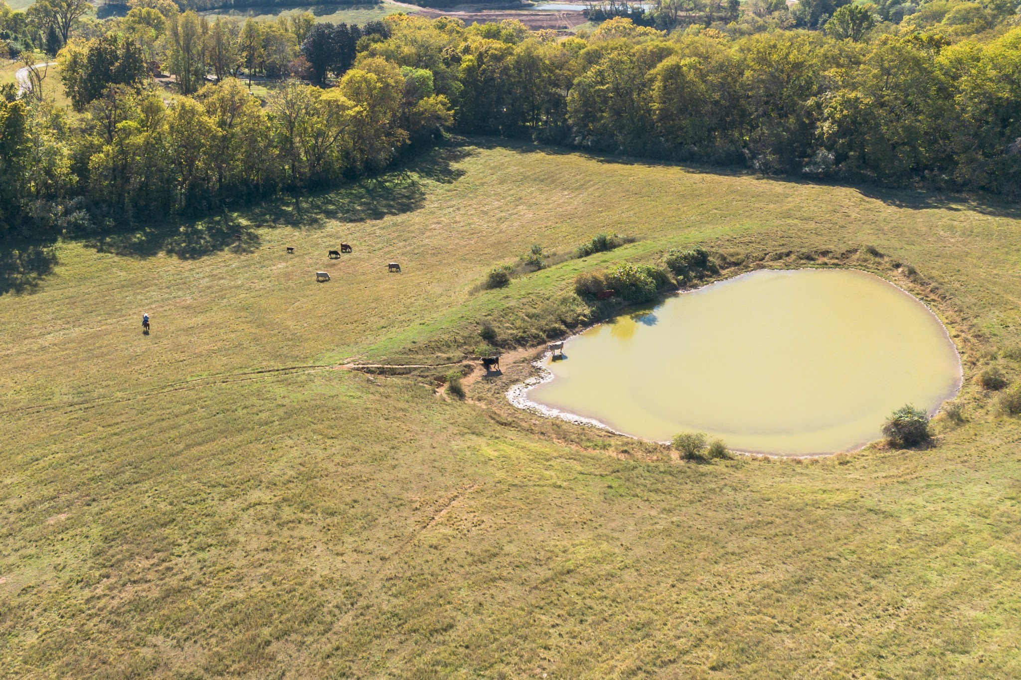 2202 Darks Mill Road Columbia TN 38401