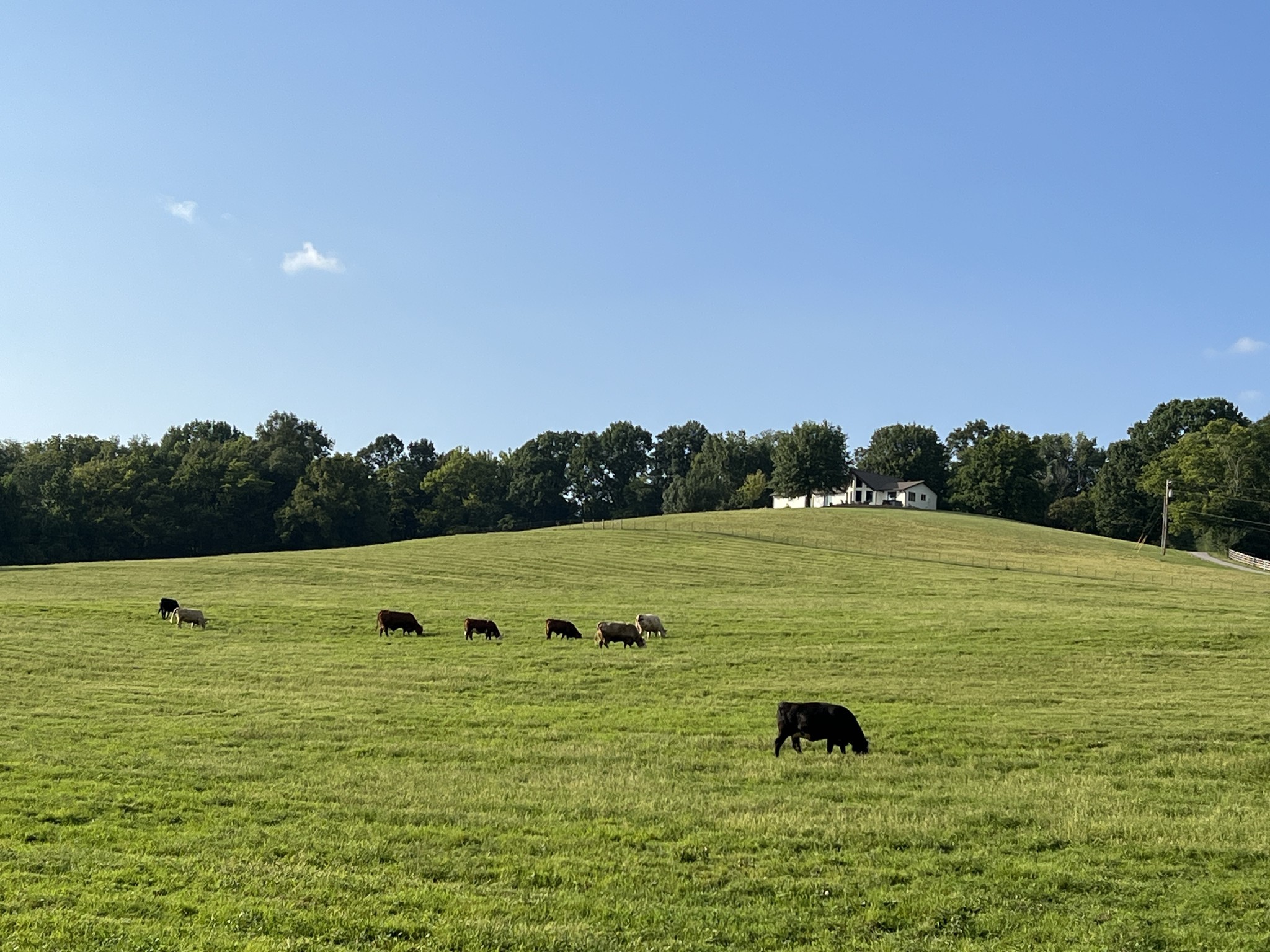 2202 Darks Mill Road Columbia TN 38401