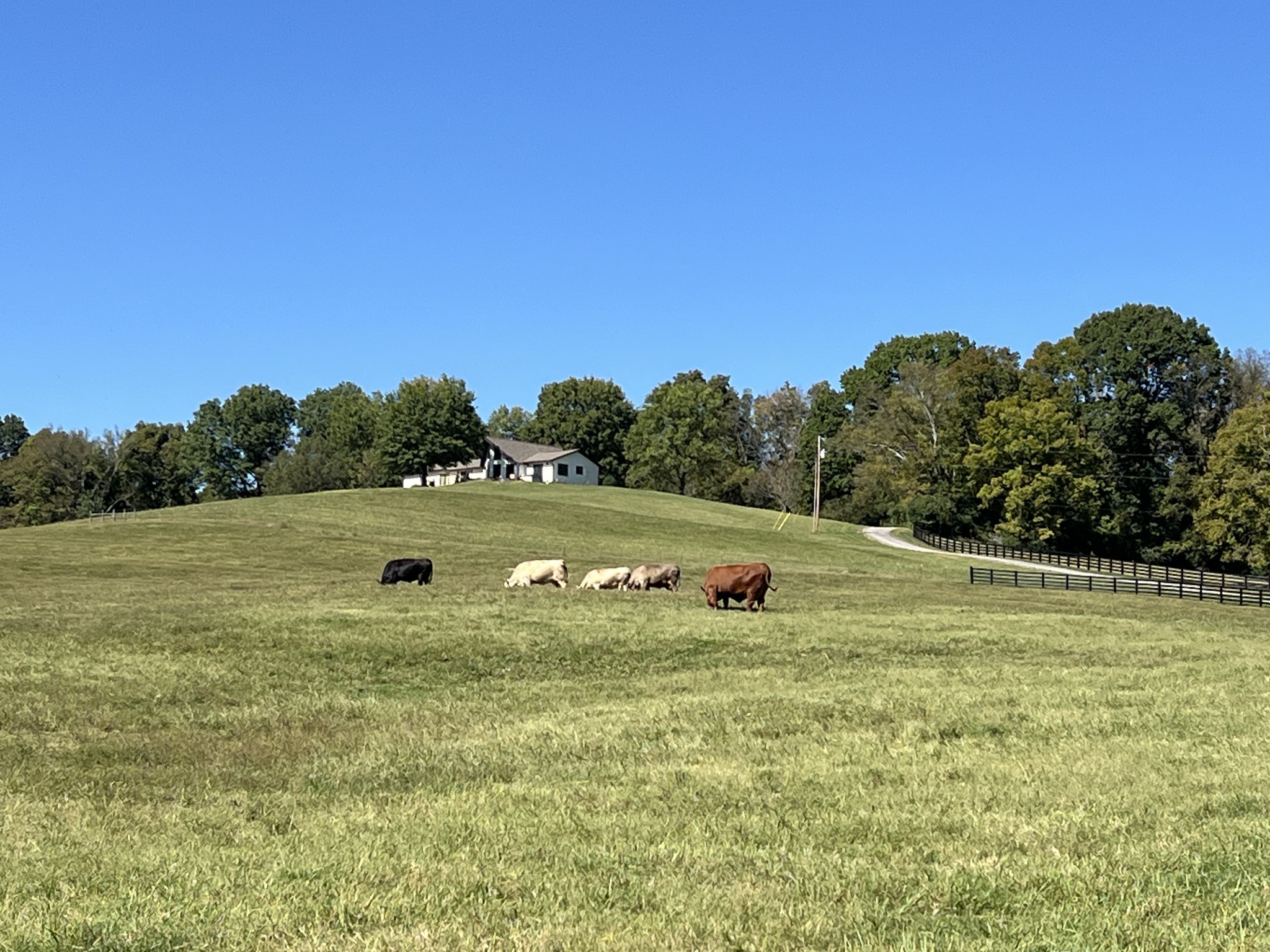 2202 Darks Mill Road Columbia TN 38401