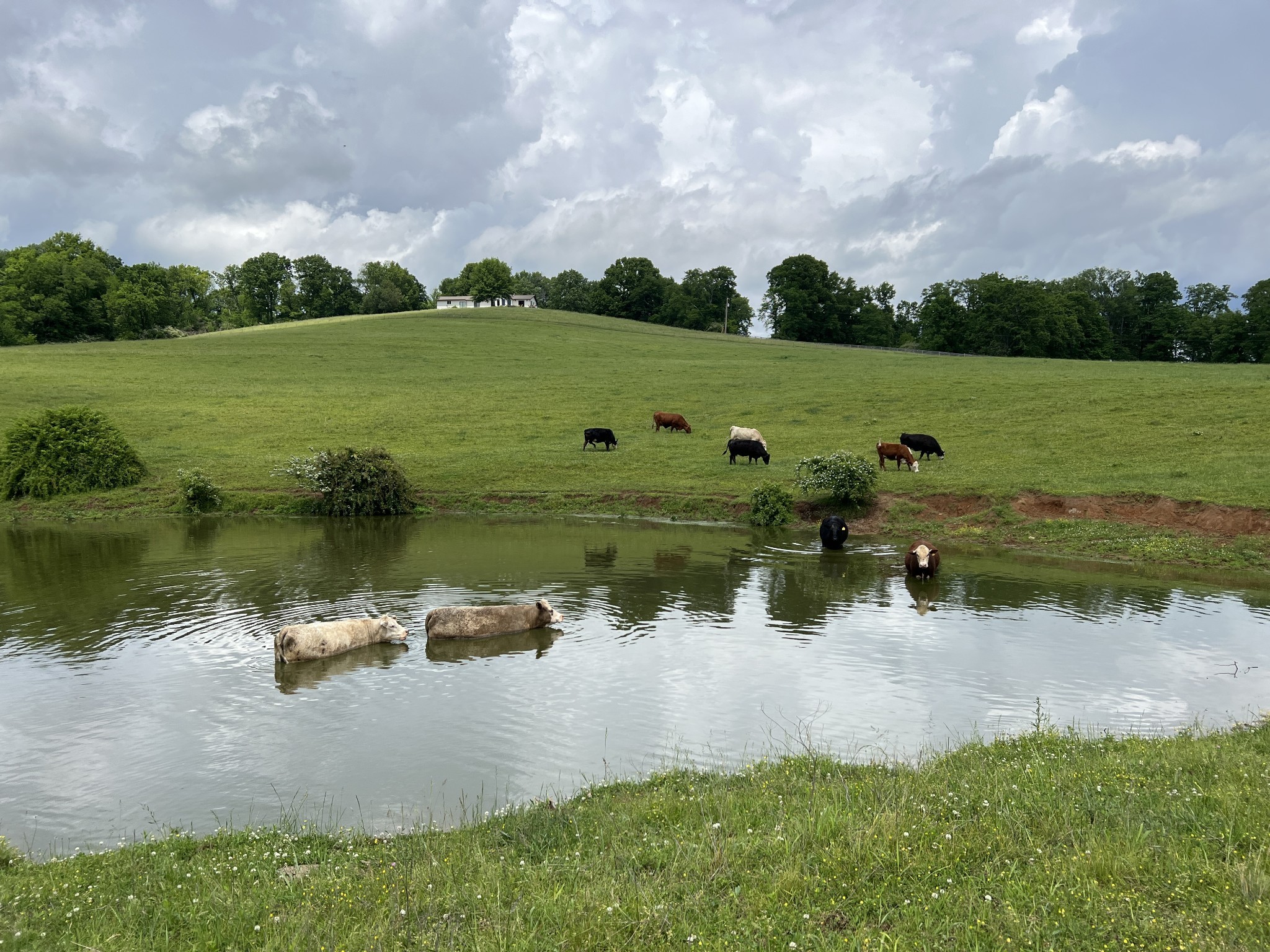 2202 Darks Mill Road Columbia TN 38401