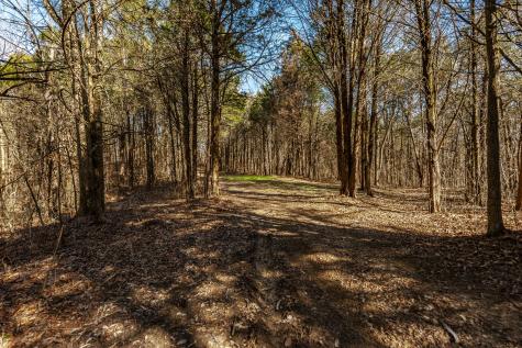 8870 Rocky Fork Road Smyrna TN 37167