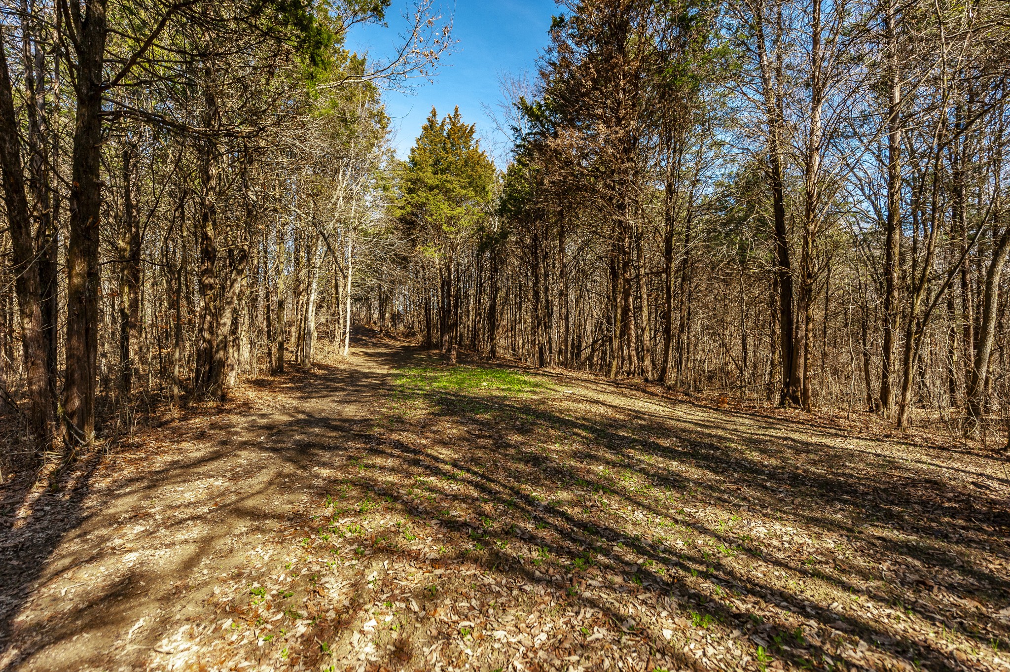 8870 Rocky Fork Road Smyrna TN 37167