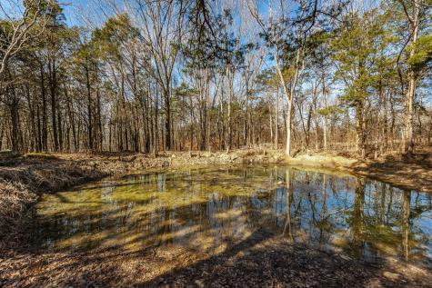 8870 Rocky Fork Road Smyrna TN 37167
