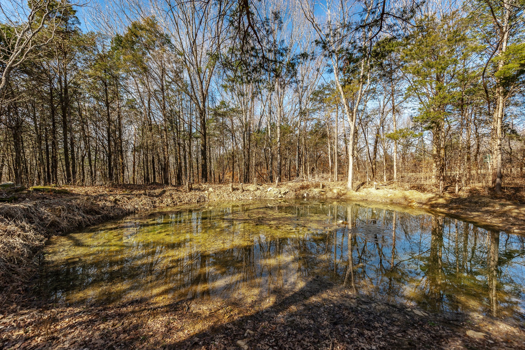 8870 Rocky Fork Road Smyrna TN 37167