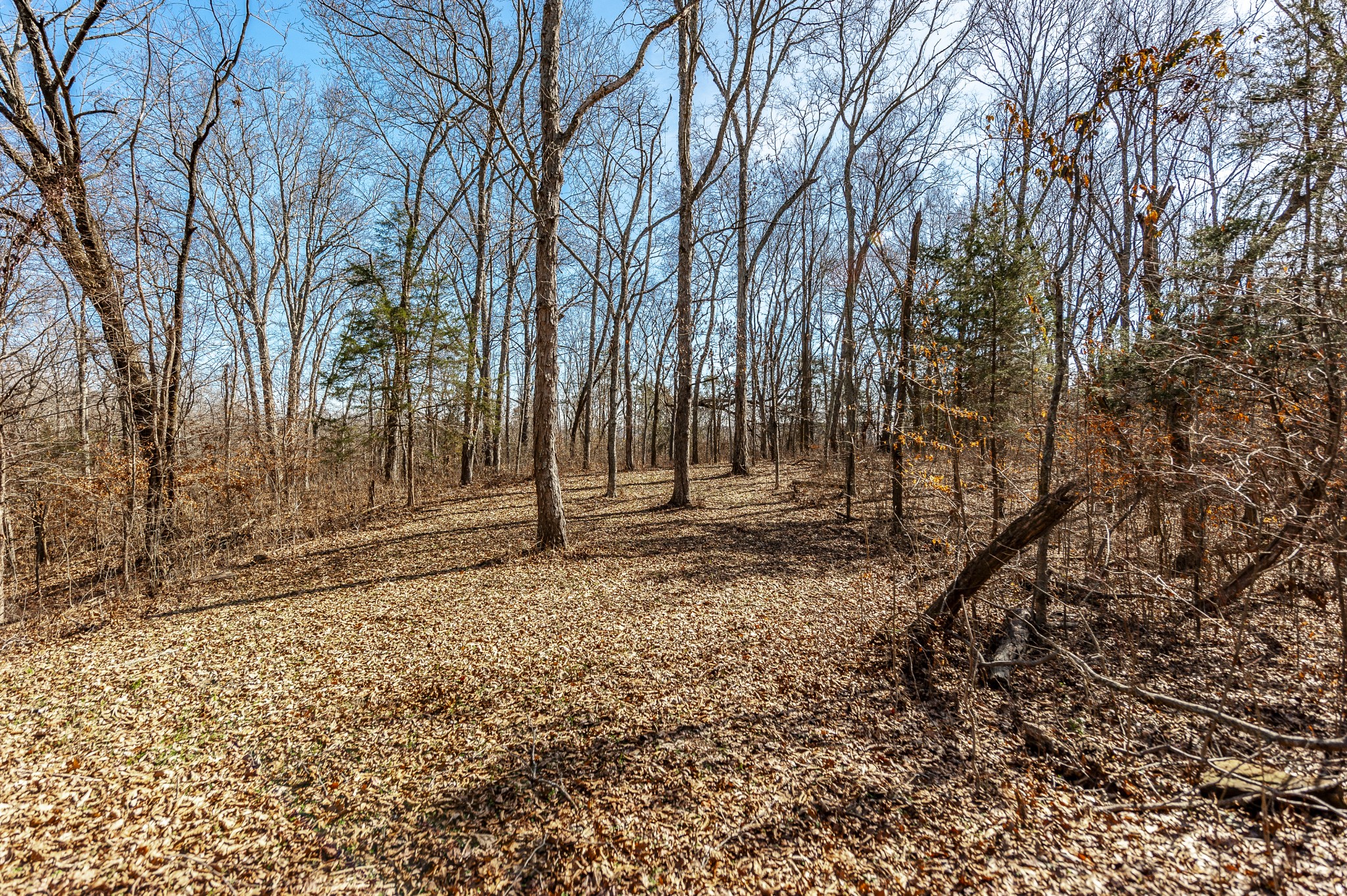8870 Rocky Fork Road Smyrna TN 37167