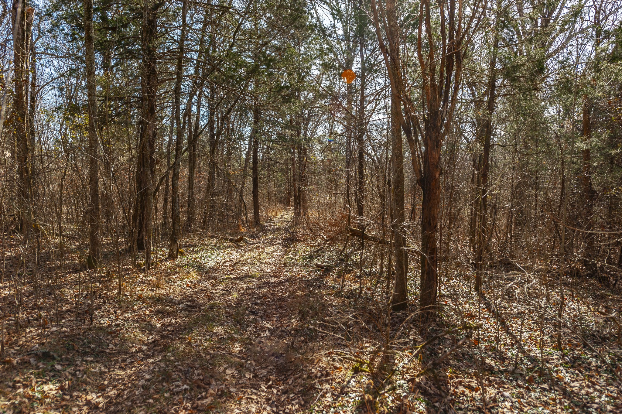 8870 Rocky Fork Road Smyrna TN 37167
