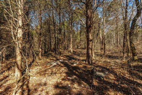 8870 Rocky Fork Road Smyrna TN 37167