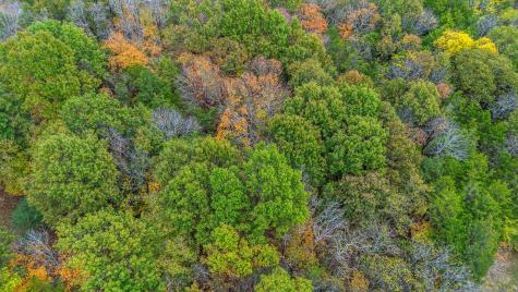 6116 Lickton Pike Goodlettsville TN 37072