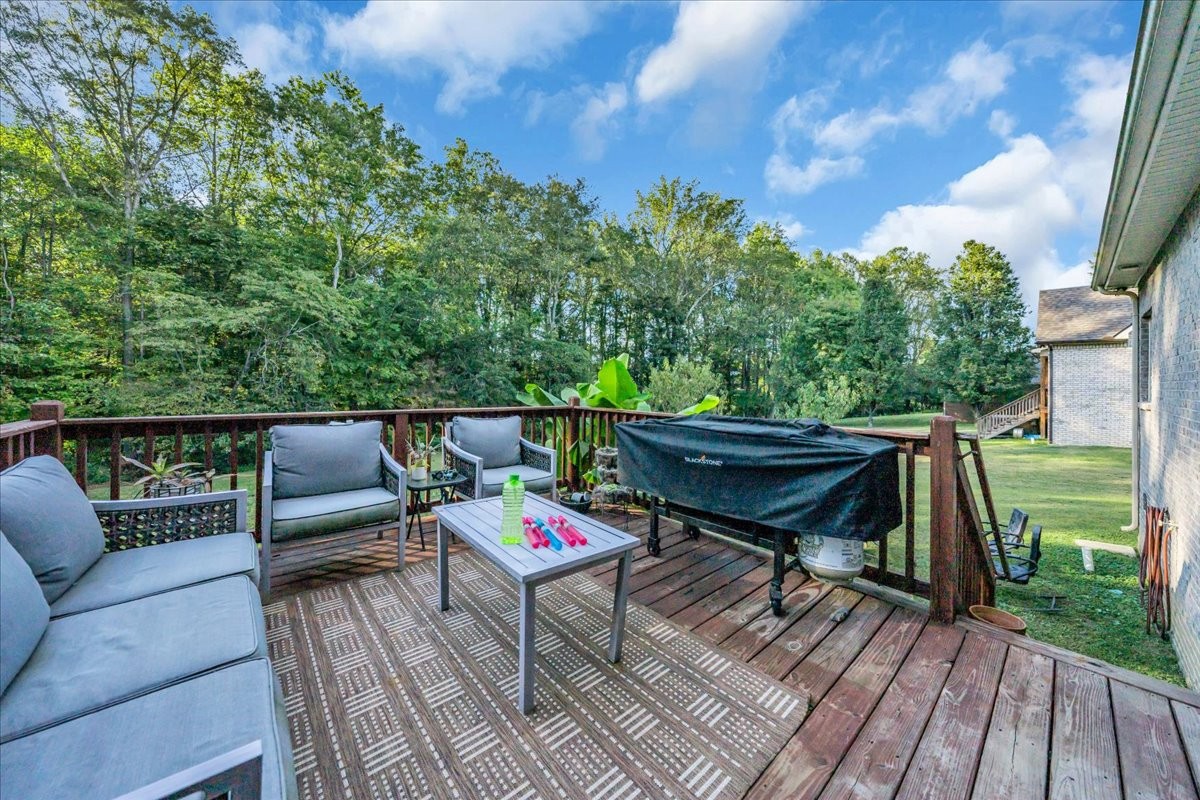 170 Briarwood Lane Smithville TN 37166