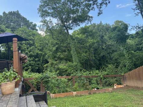 327 Dinwiddie Drive Madison TN 37115