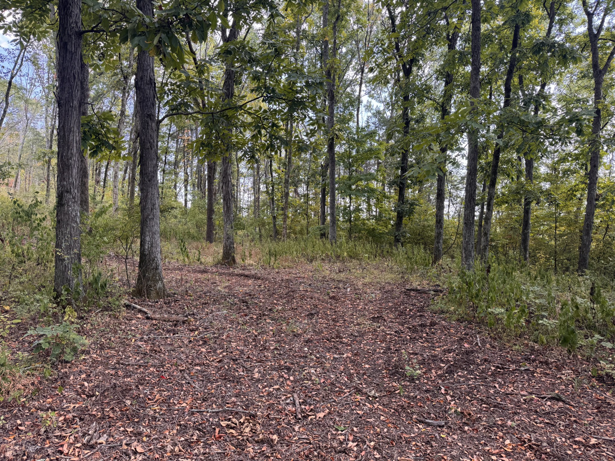 337 Carellton Drive Gallatin TN 37066