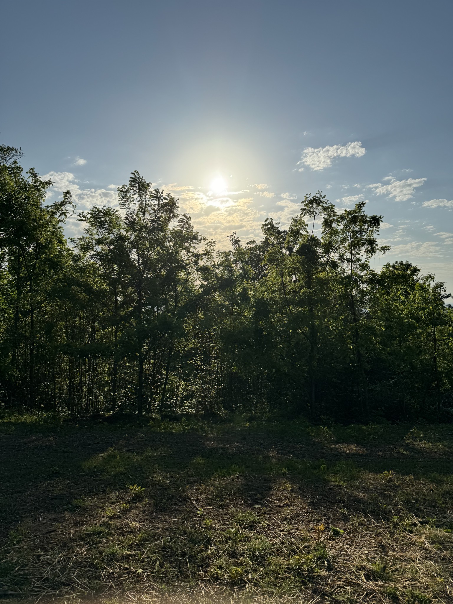 337 Carellton Drive Gallatin TN 37066