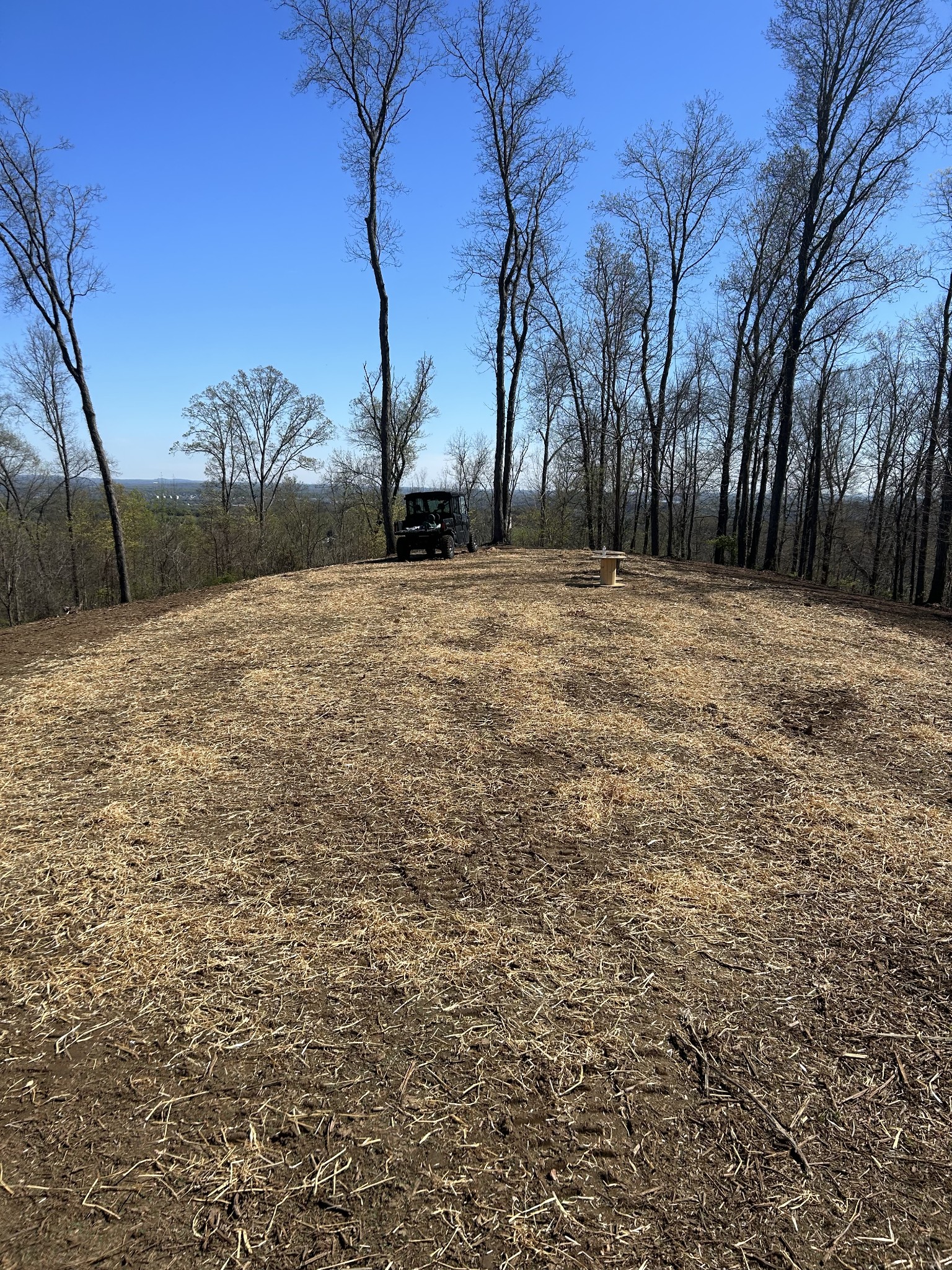 337 Carellton Drive Gallatin TN 37066