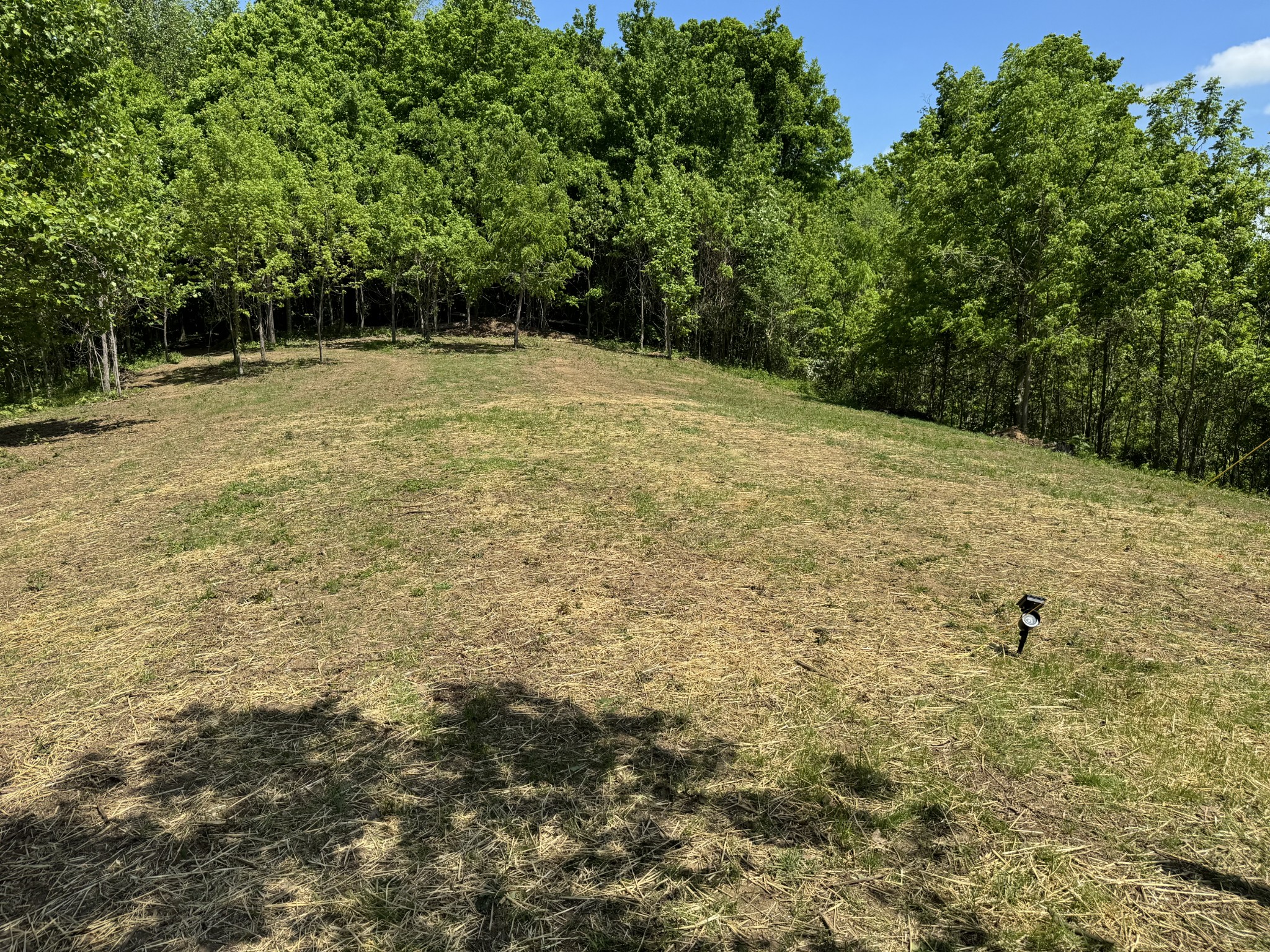 337 Carellton Drive Gallatin TN 37066