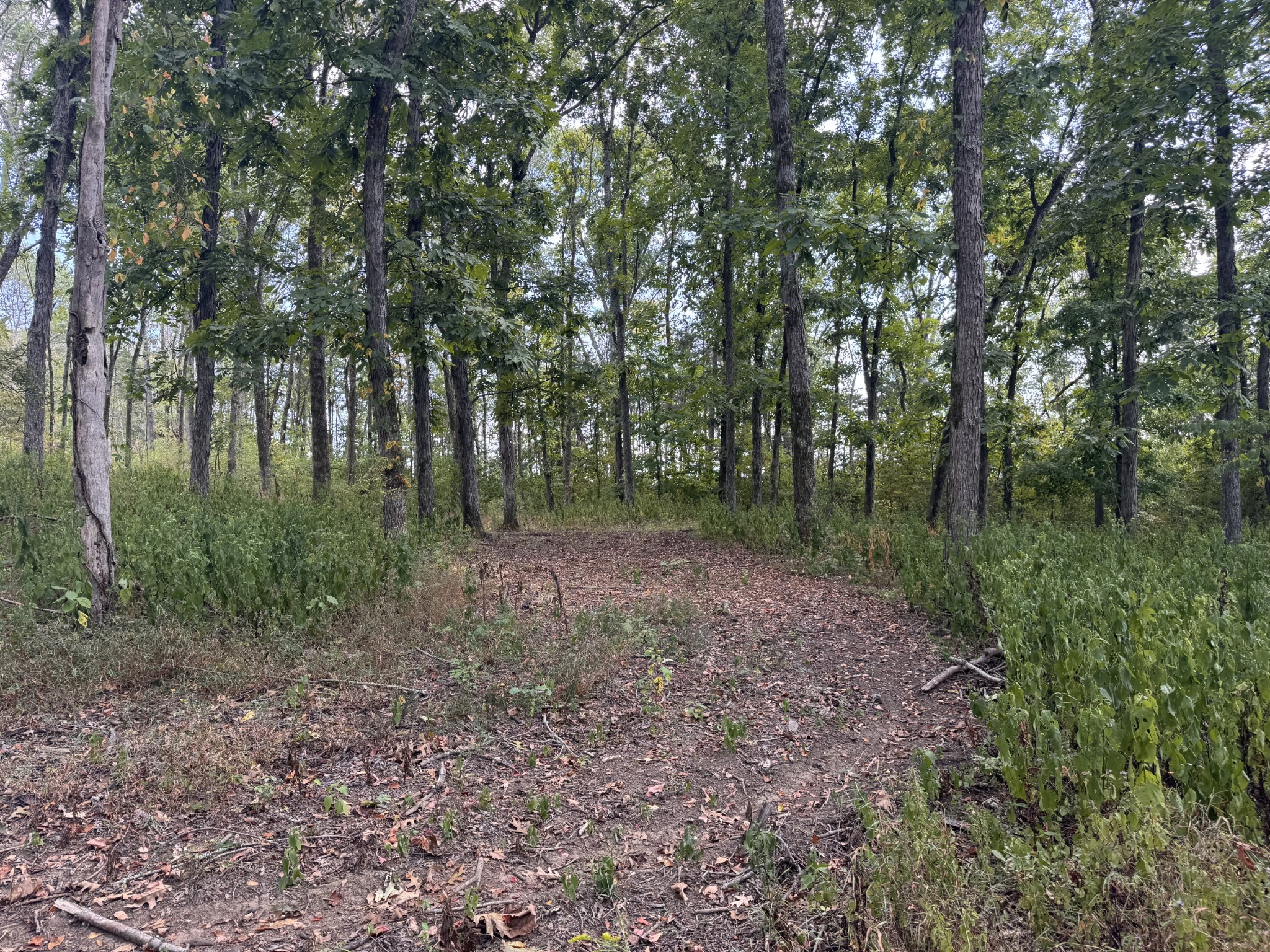 337 Carellton Drive Gallatin TN 37066