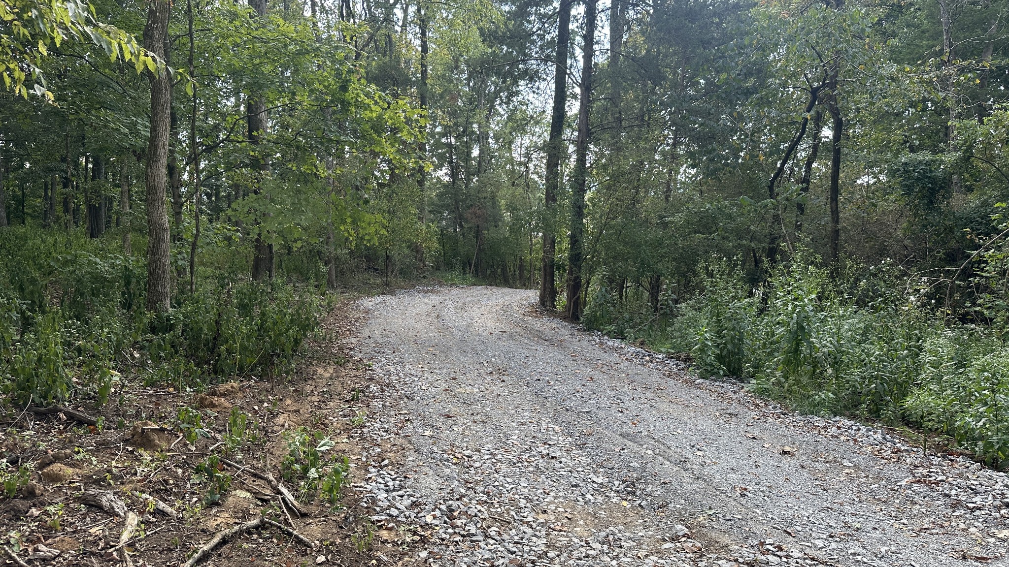 337 Carellton Drive Gallatin TN 37066