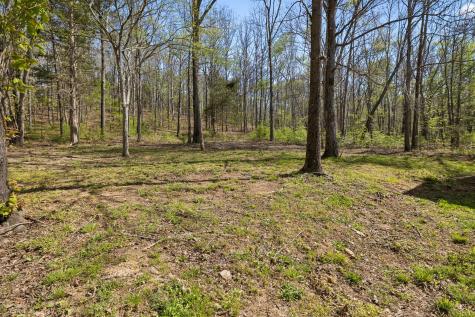 6100 Bell Branch Trail Nunnelly TN 37137