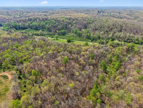 6100 Bell Branch Trail Nunnelly TN 37137
