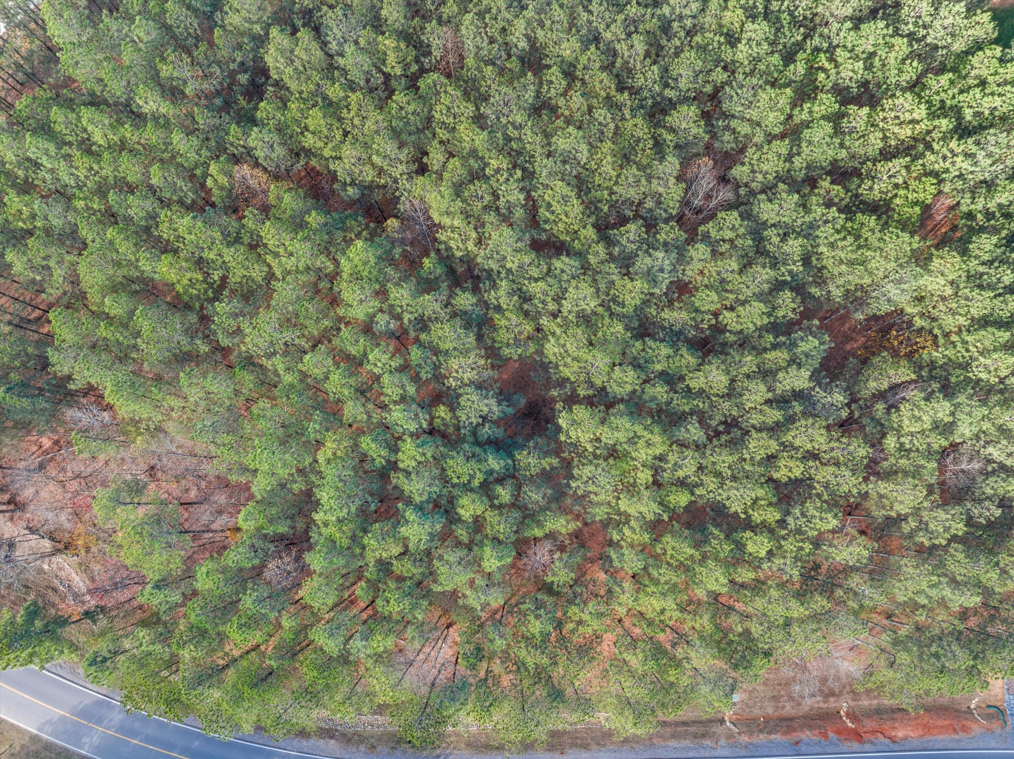 0 Crockett Point Jasper TN 37347