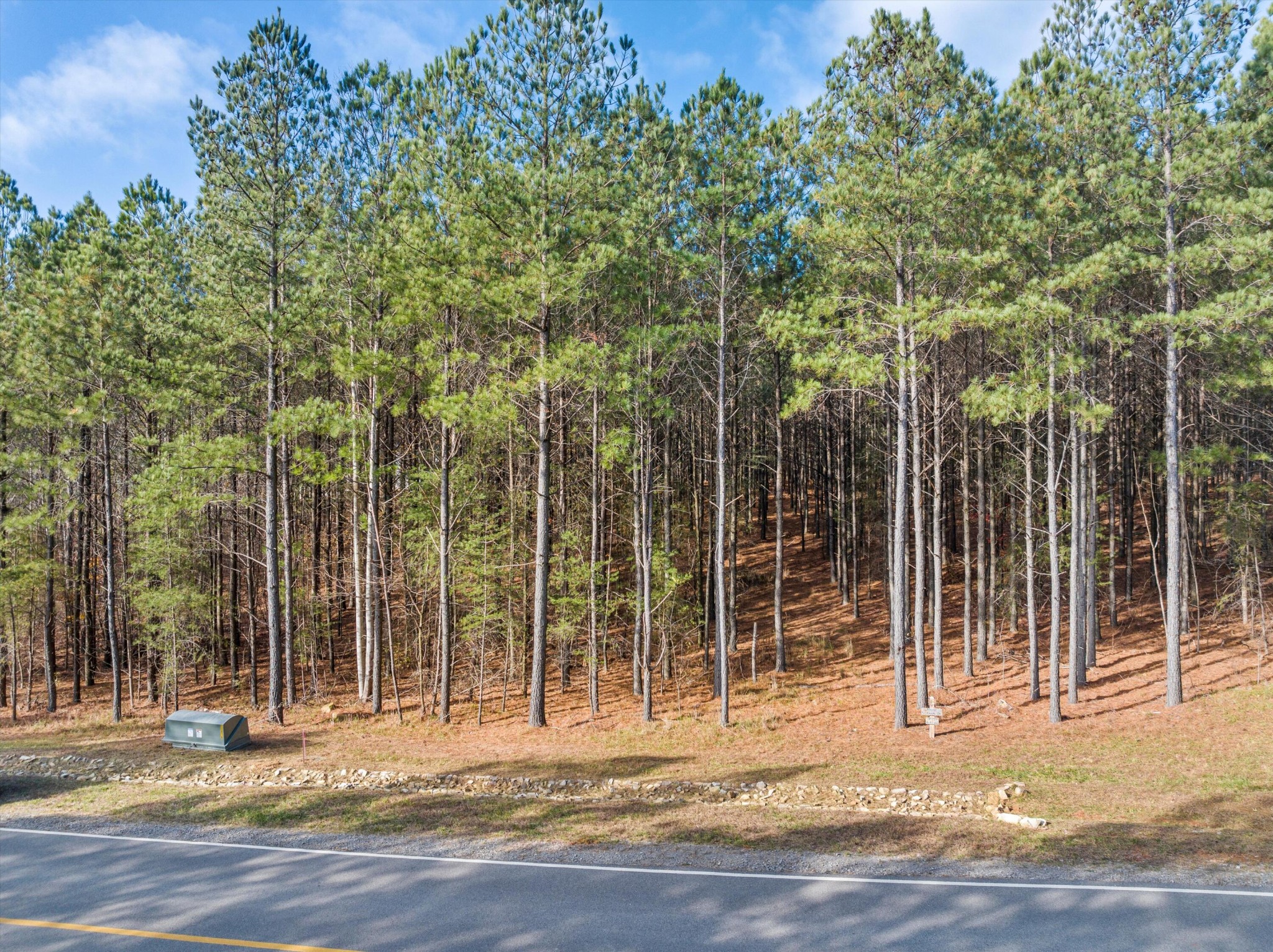 0 Crockett Point Jasper TN 37347