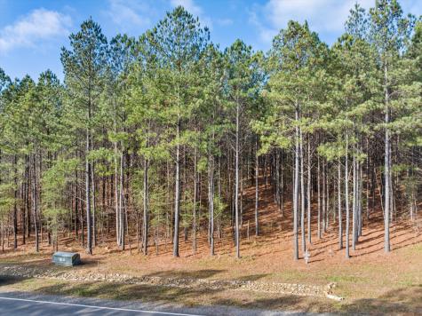 0 Crockett Point Jasper TN 37347