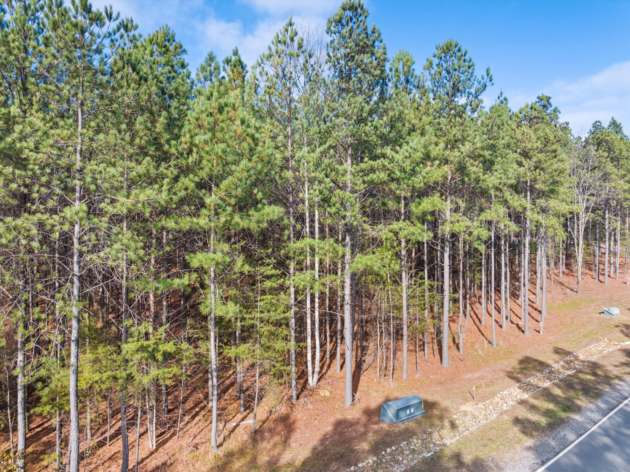 0 Crockett Point Jasper TN 37347