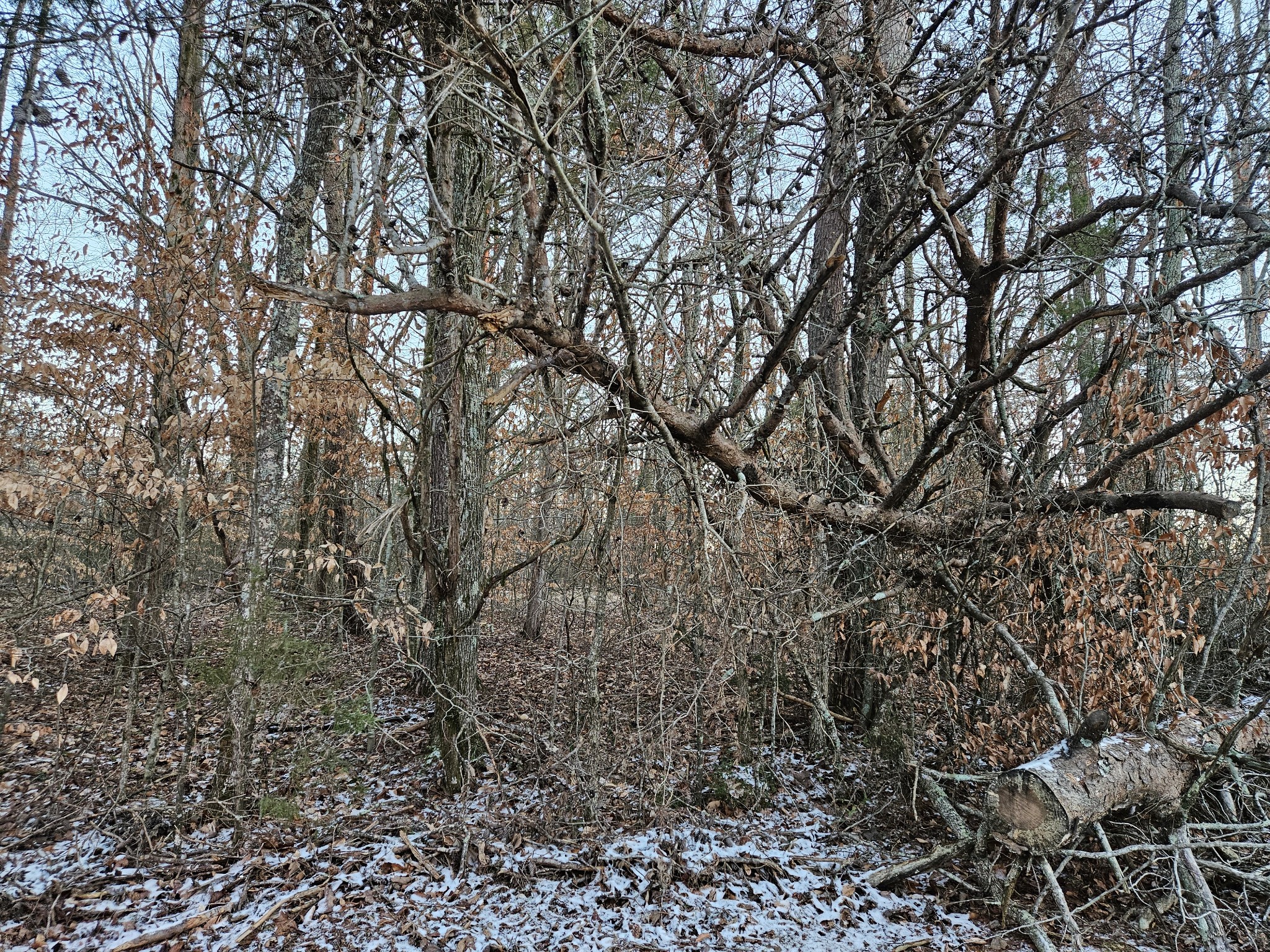 0 Pollard Cemetery Road Walling TN 38587