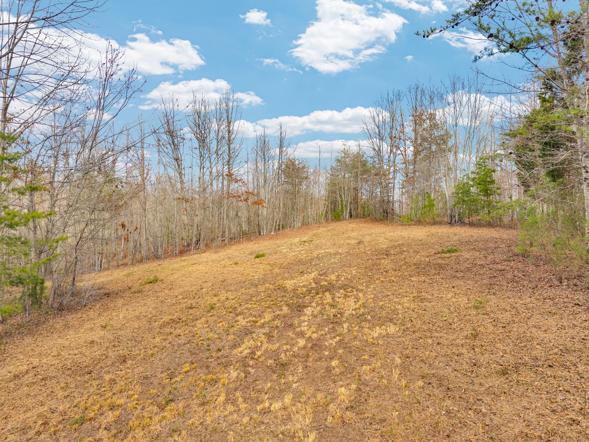 0 Soak Creek Lane Grandview TN 37337