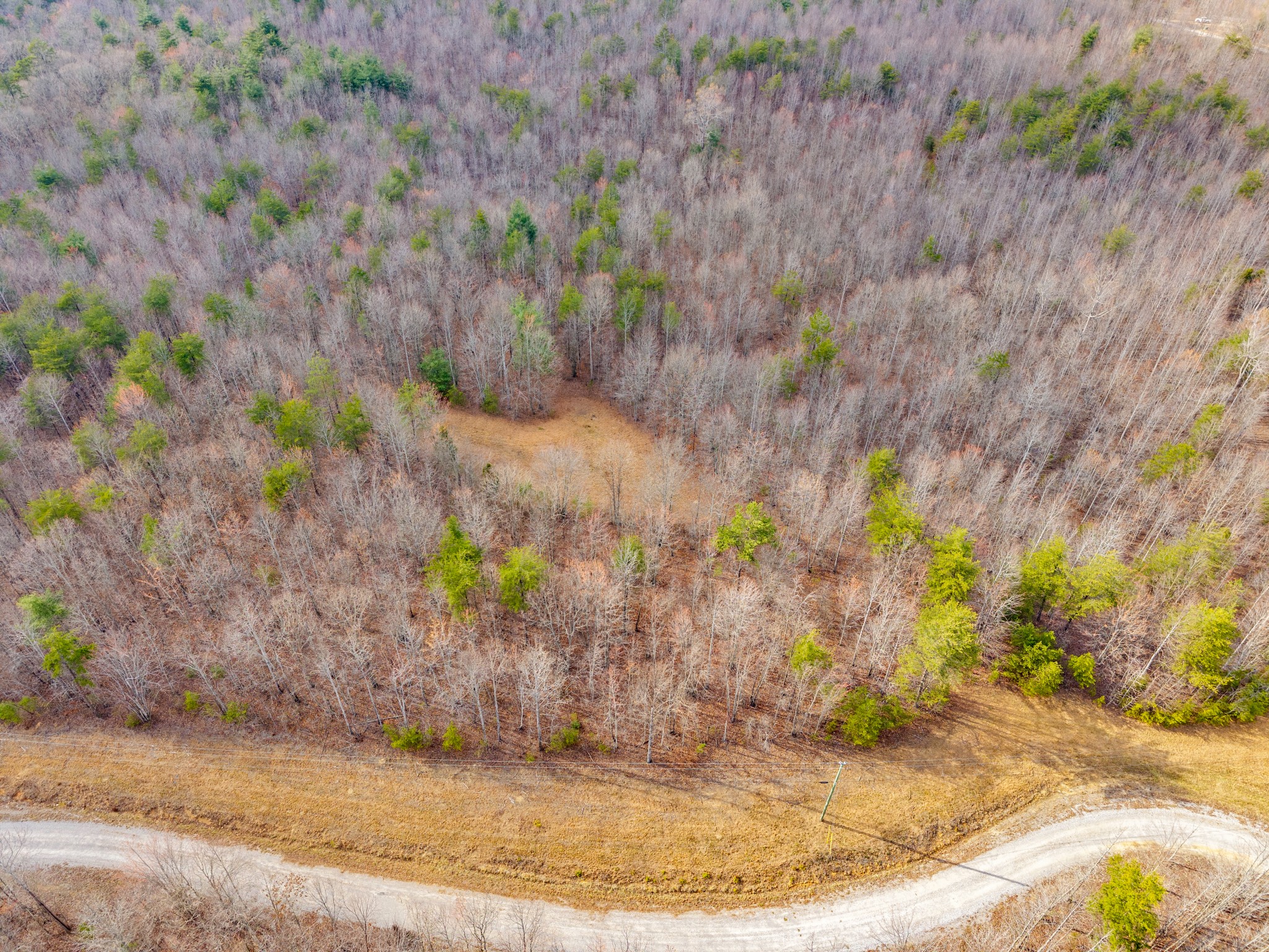 0 Soak Creek Lane Grandview TN 37337