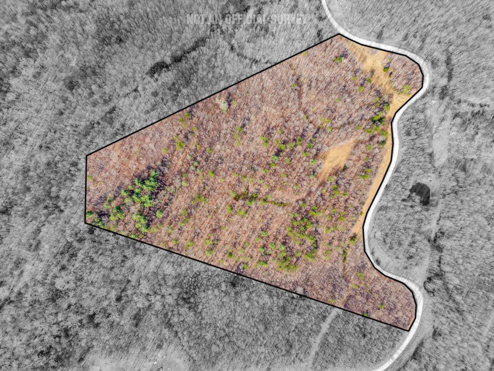 0 Soak Creek Lane Grandview TN 37337