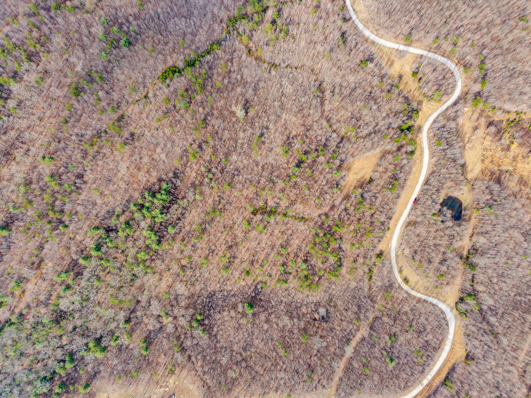 0 Soak Creek Lane Grandview TN 37337
