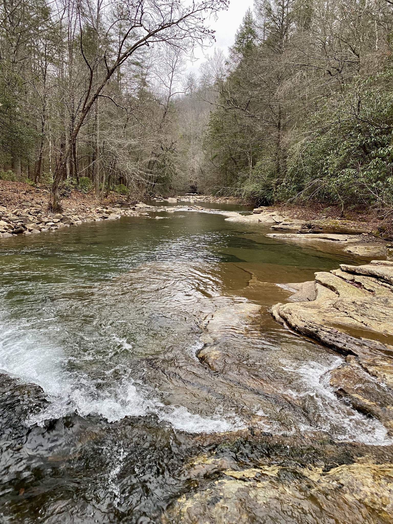 0 Soak Creek Lane Grandview TN 37337