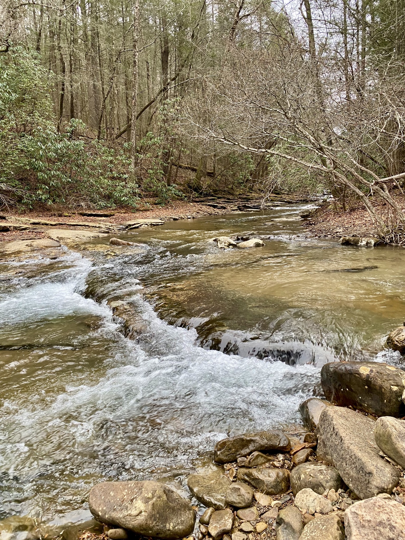 0 Soak Creek Lane Grandview TN 37337