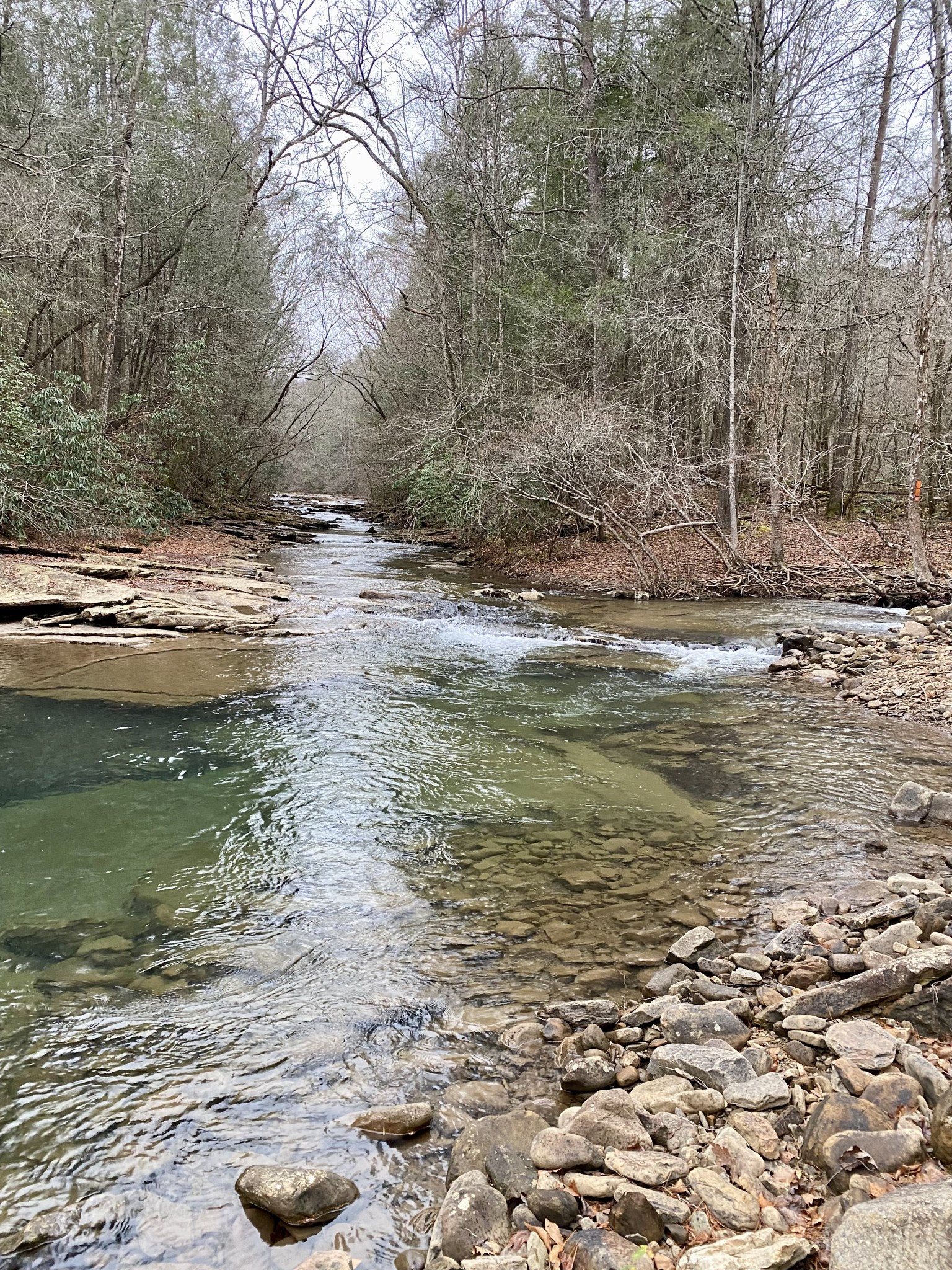 0 Soak Creek Lane Grandview TN 37337