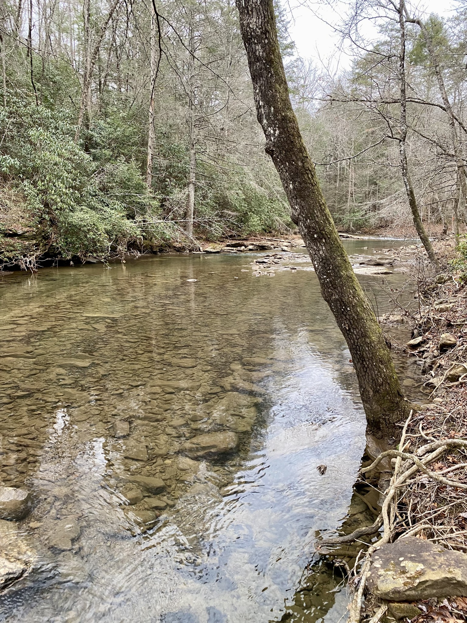 0 Soak Creek Lane Grandview TN 37337