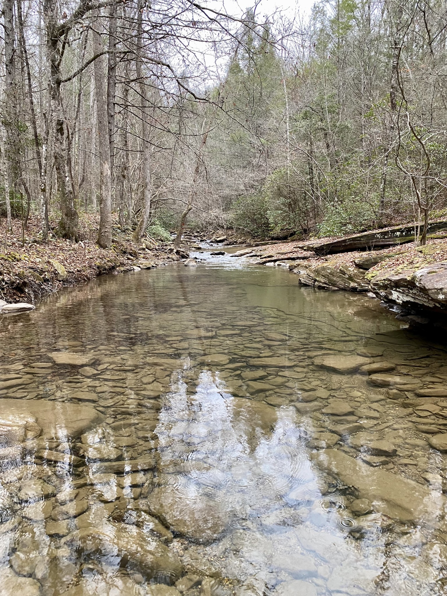 0 Soak Creek Lane Grandview TN 37337
