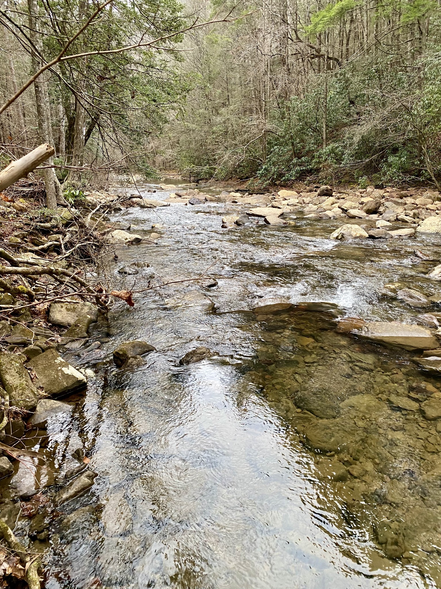 0 Soak Creek Lane Grandview TN 37337
