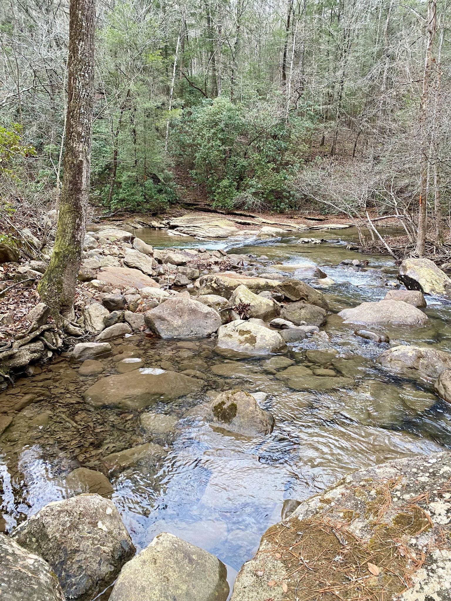 0 Soak Creek Lane Grandview TN 37337