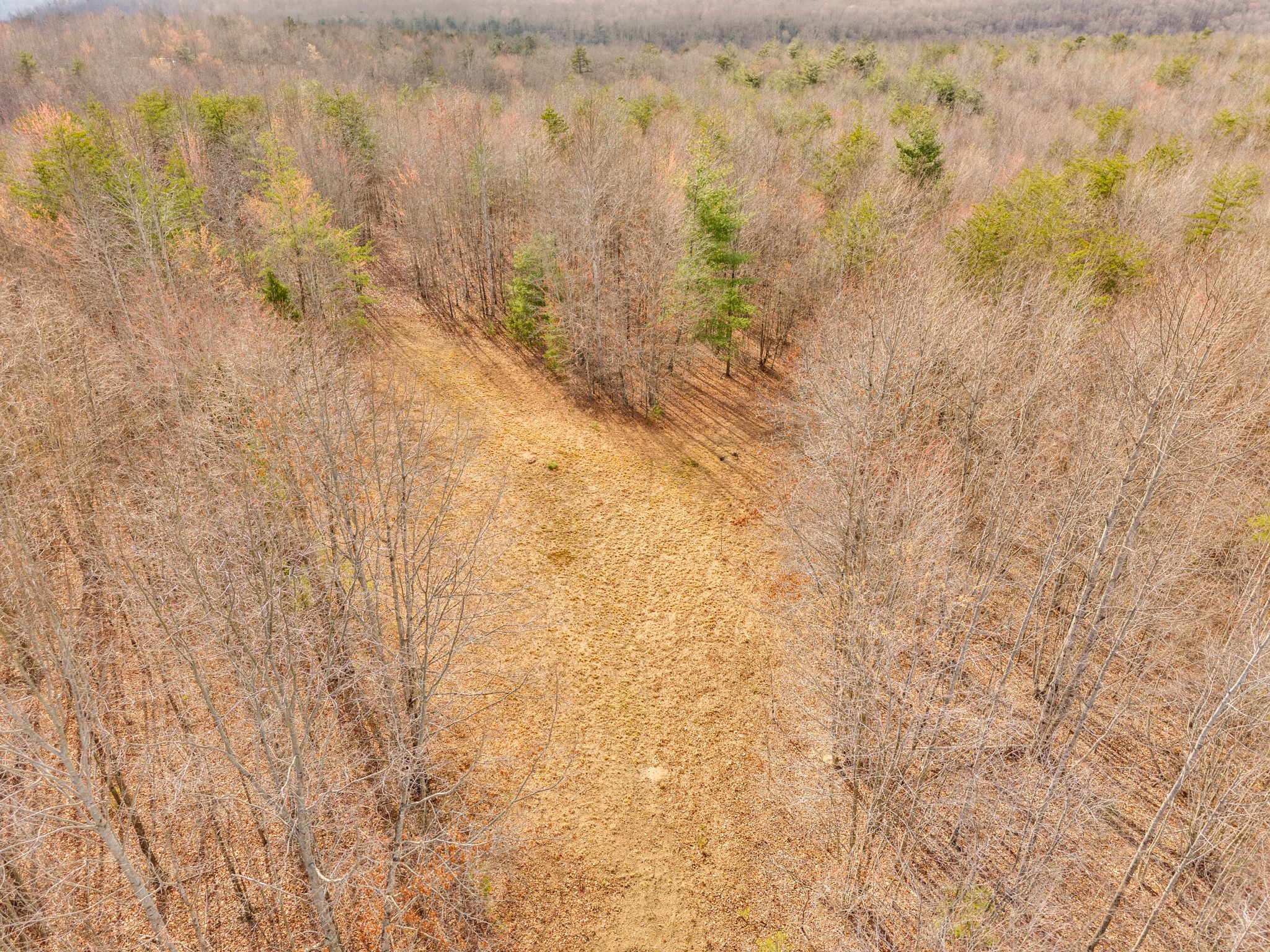 0 Soak Creek Lane Grandview TN 37337