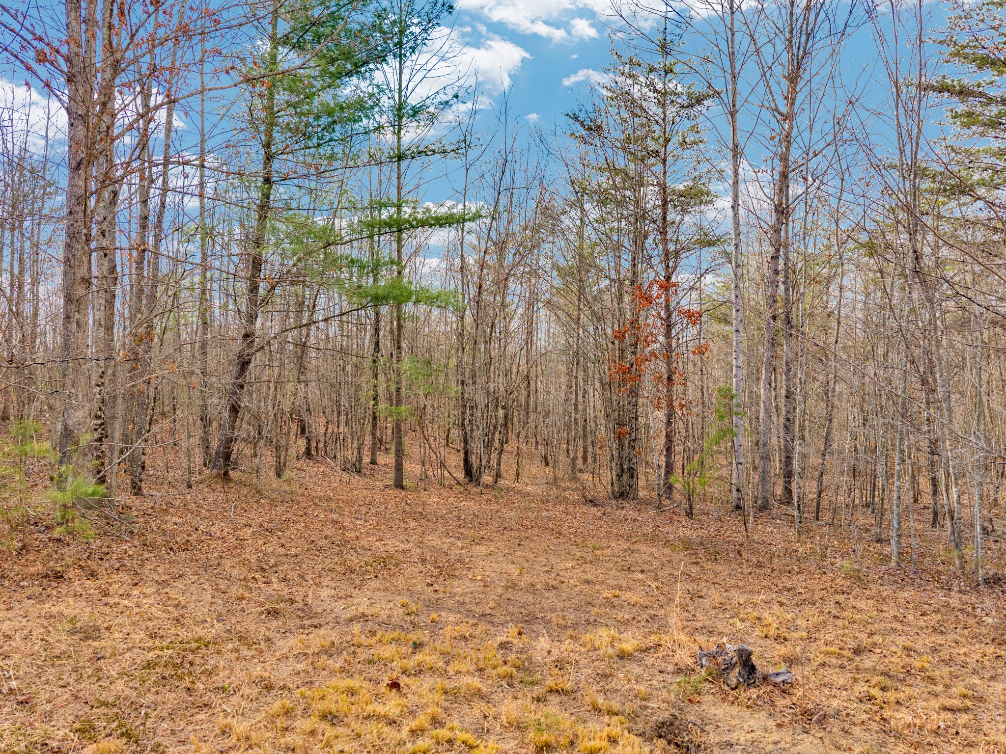 0 Soak Creek Lane Grandview TN 37337
