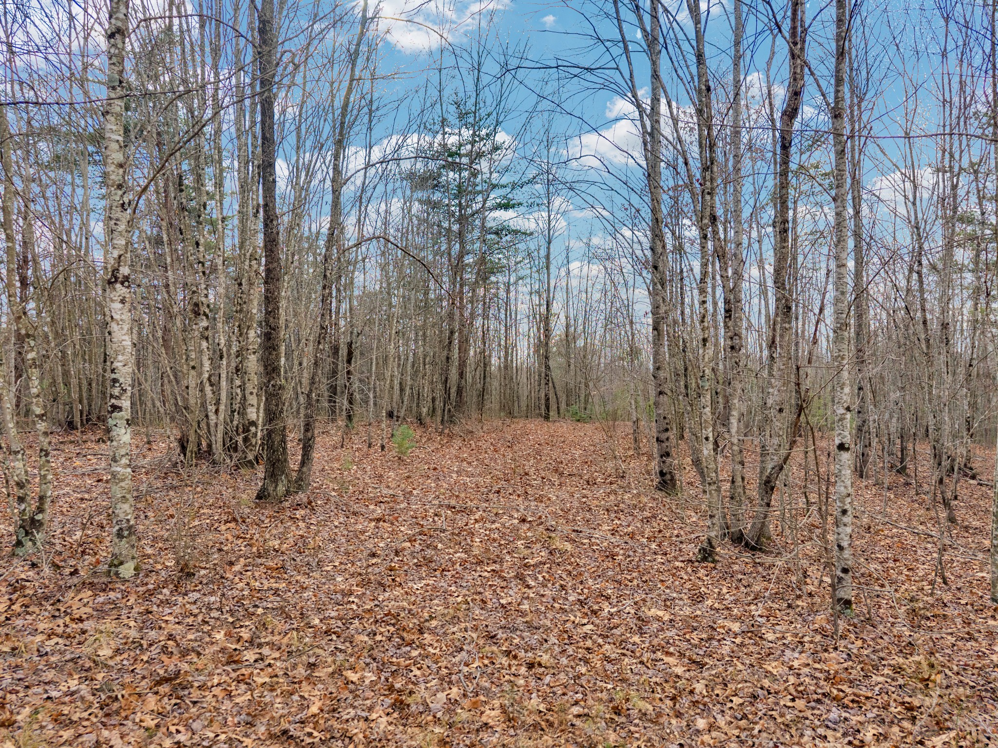 0 Soak Creek Lane Grandview TN 37337