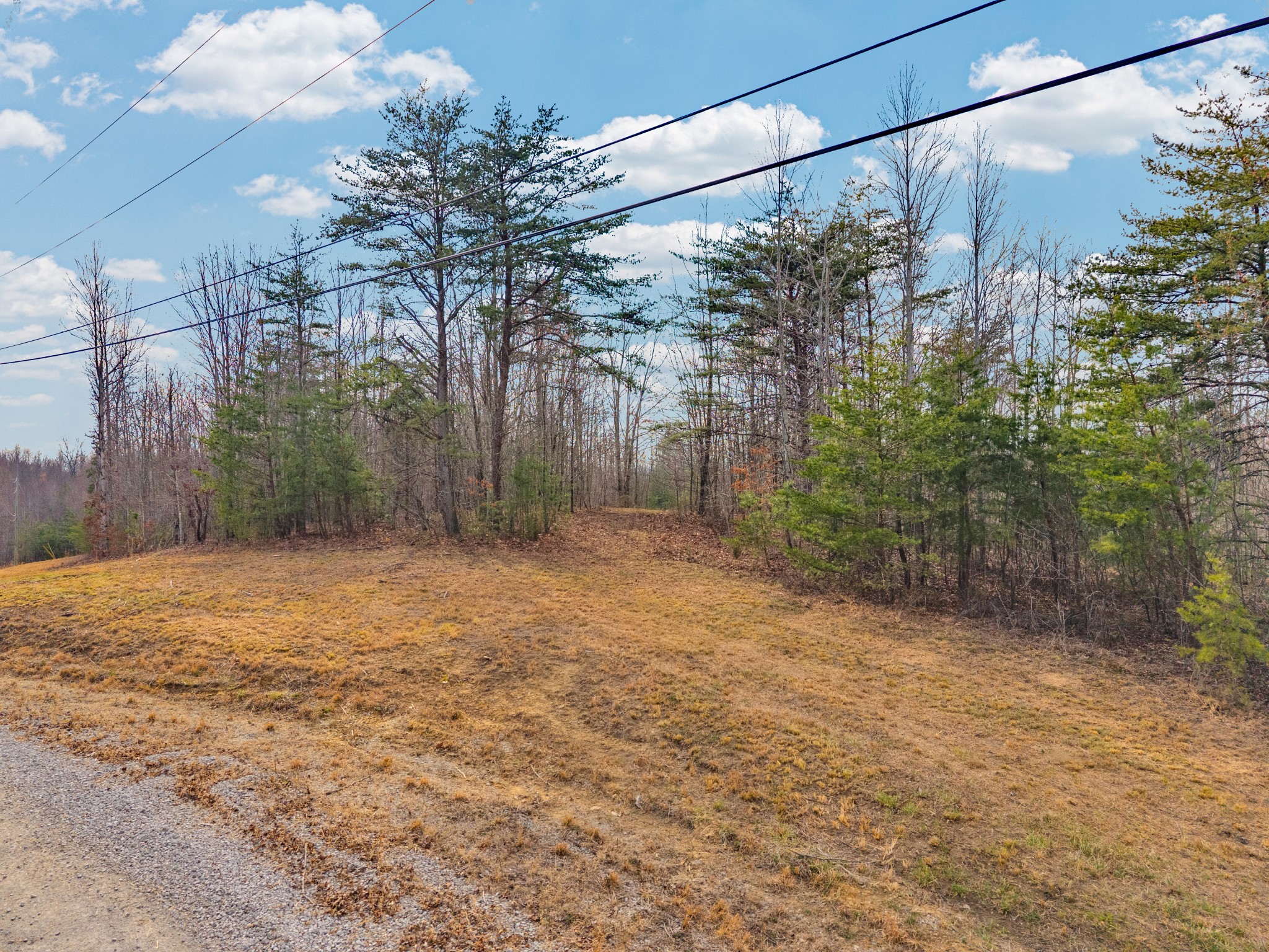 0 Soak Creek Lane Grandview TN 37337